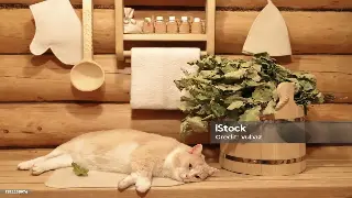 养生搭配妙招：提升健康生活的武汉日常指南