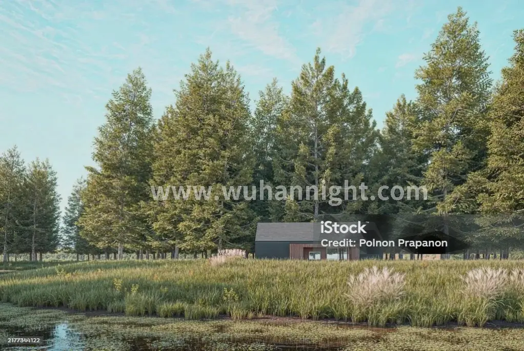 筋膜枪辅助放松